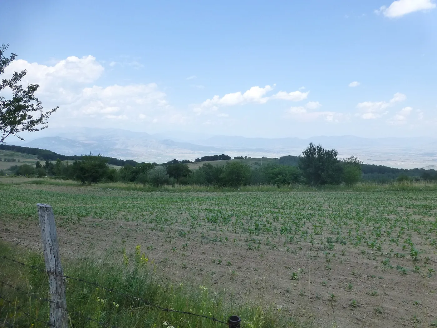 Krushevo - P1100290.JPG